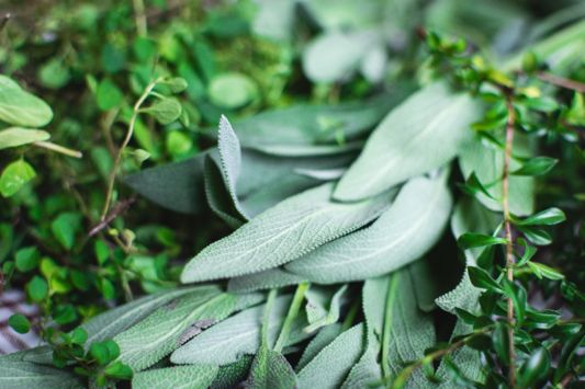 foodiesfeed.com_different-fresh-herbs.jpg